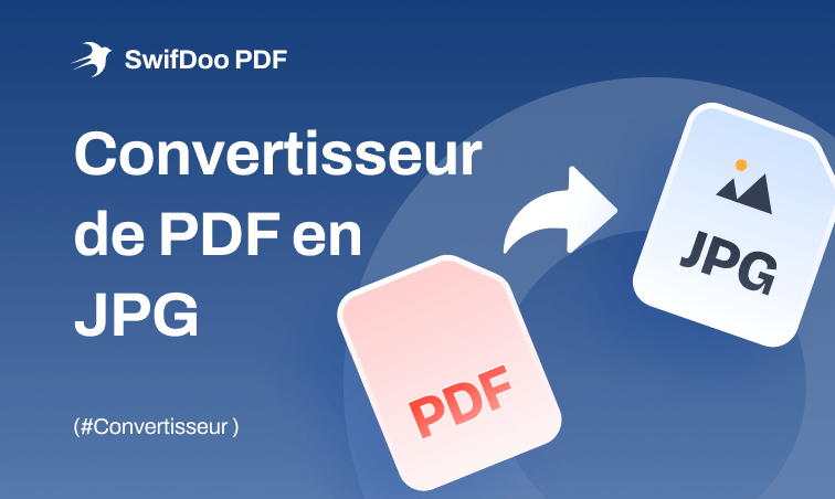 COMMENT CONVERTIR UN DOC PDF EN JPG visual data 7